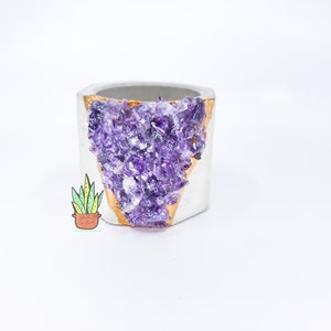 May include: A hexagonal concrete planter with a gold rim and a large amethyst crystal embedded in the side. The planter is a light gray color and the amethyst crystal is a deep purple.