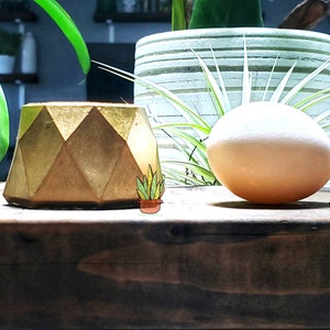 Puede incluir: Un macetero geom&eacute;trico dorado se encuentra sobre una superficie de madera junto a un huevo blanco y una peque&ntilde;a suculenta verde en una maceta de terracota.