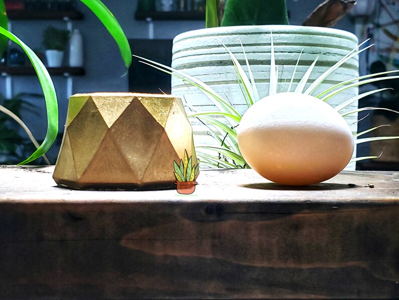 Puede incluir: Un macetero geom&eacute;trico dorado se encuentra sobre una superficie de madera junto a un huevo blanco y una peque&ntilde;a suculenta verde en una maceta de terracota.