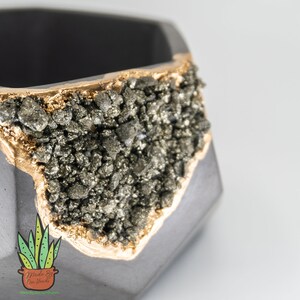 May include: A geometric concrete planter with a gold rim and a section filled with pyrite crystals. The planter is gray and has a rough texture.