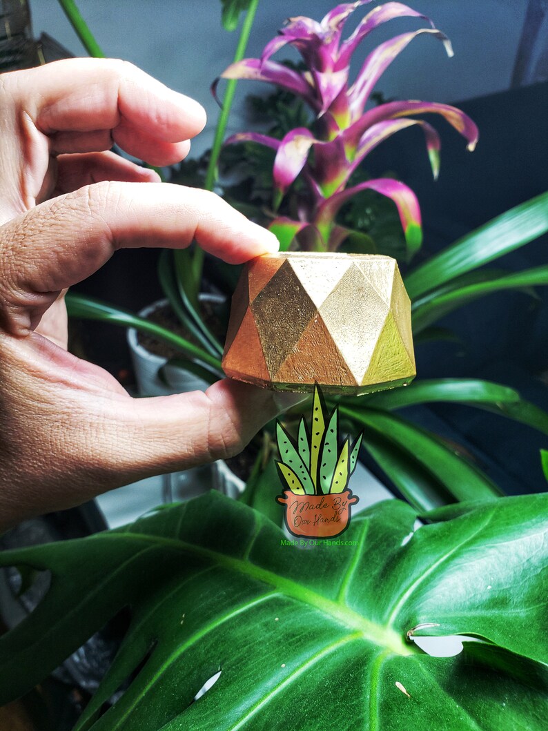 Puede incluir: Un macetero de hormig&oacute;n geom&eacute;trico dorado con un dise&ntilde;o angular y afilado. El macetero se sostiene en una mano sobre un fondo de plantas verdes y moradas.