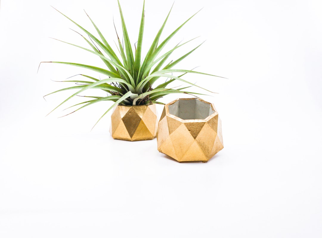 THE GOLDEN PINEAPPLES Pair Air Plant Holder Concrete Planter