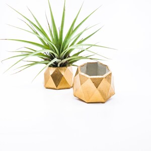 May include: Two gold geometric concrete planters, one with an air plant inside. The planters have a faceted design and are on a white background.