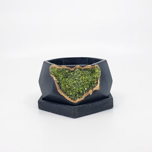 May include: Black hexagonal planter with a gold rim and a green moss design. The planter has a matching hexagonal base.
