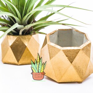 Puede incluir: Dos macetas de hormig&oacute;n geom&eacute;tricas doradas. La maceta de la izquierda tiene una planta de aire dentro. La maceta de la derecha est&aacute; vac&iacute;a. Las macetas est&aacute;n hechas a mano y tienen un acabado mate.
