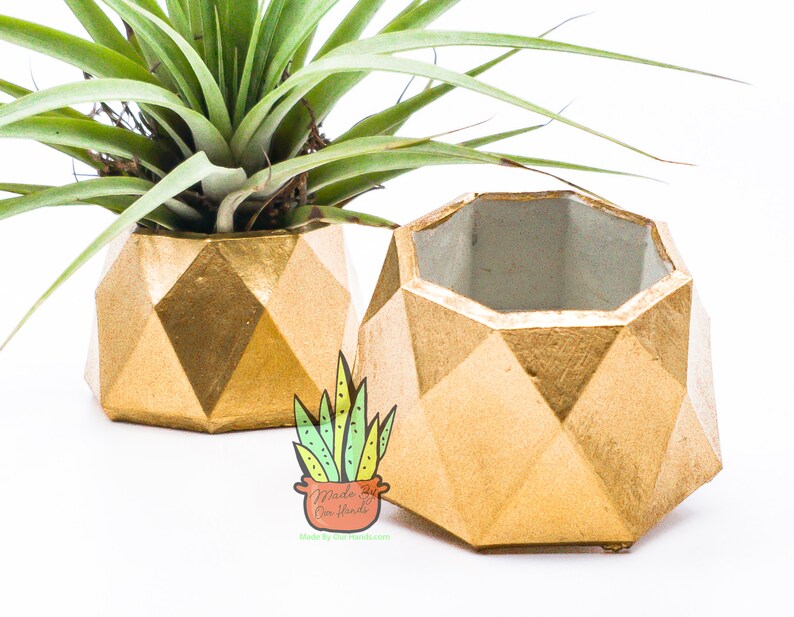 Puede incluir: Dos macetas de hormig&oacute;n geom&eacute;tricas doradas. La maceta de la izquierda tiene una planta de aire dentro. La maceta de la derecha est&aacute; vac&iacute;a. Las macetas est&aacute;n hechas a mano y tienen un acabado mate.