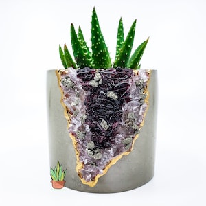 May include: A gray concrete planter with a gold rim and a geode design featuring pink and purple crystals. A succulent plant is growing in the planter.