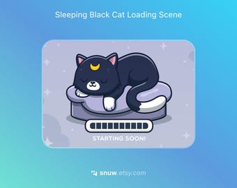 Animated Sleeping Black Cat Loading Screen | Starry Moon Clouds for Twitch - Kick - Youtube