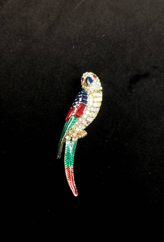 Vintage Mid Century enamelled parrot brooch - image 2
