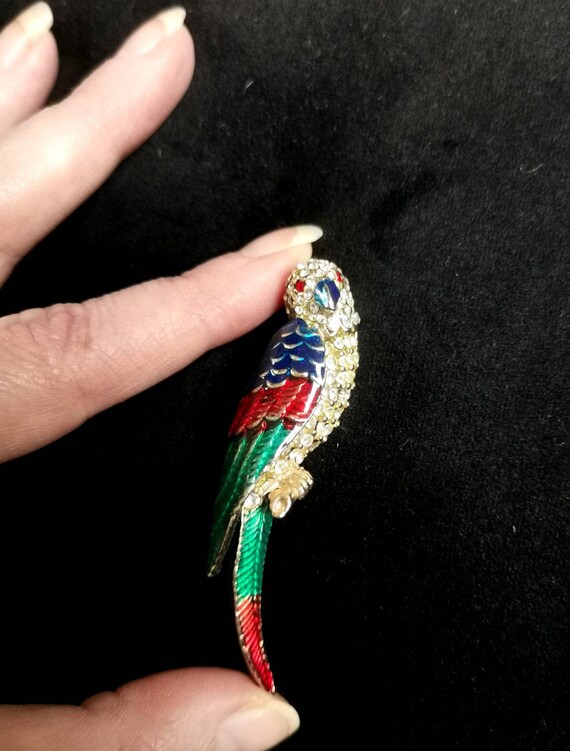 Vintage Mid Century enamelled parrot brooch - image 4