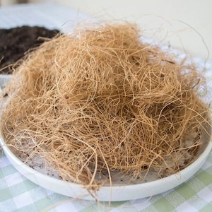Fibra de cáscara de coco Fibra de cáscara de coco orgánica pura Fibra de cáscara de coco casera para orquídeas y plantas de anturio