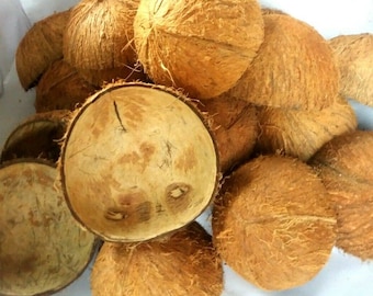 Coconut Shell Halves | Natural Coir Shell | Bird Feeder | Aquarium Den | Craft Supply