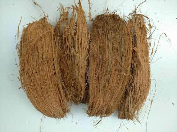 Coir Fiber Growing Media | Coconut Husk Fiber | Orchid & Hoya Plant Soil |  Natural Gardening - Etsy