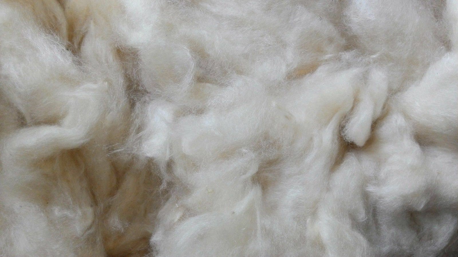 Kapok 40g1.41oztropicalkapok Natural Fiber Fill Stuffing Etsy Singapore