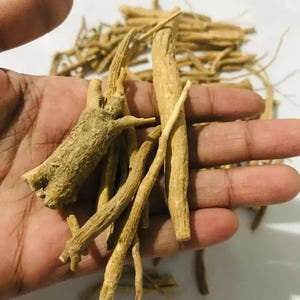 Organic Dried Ashwaganda Root Ayurvedic Immune Booster Withania Somnifera Herb