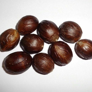 Ceylon Nutmeg Whole with Shell High Quality Organic Herbs Spices Sun Dried Myristica Fragrans