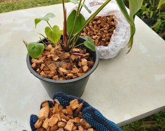 Virutas de cáscara de coco / Virutas de fibra de coco para orquídeas / Sustrato natural / Aditivo para tierra de plantas