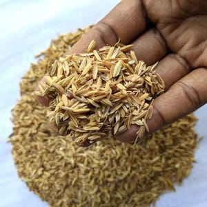 Cáscaras de arroz / Cáscaras de arroz / Compost orgánico 100 % natural Medio de cultivo hidropónico