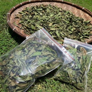 Dried Neem Whole Leaves Pure Organic Natural Azadirachta Indica Herbal Leaf