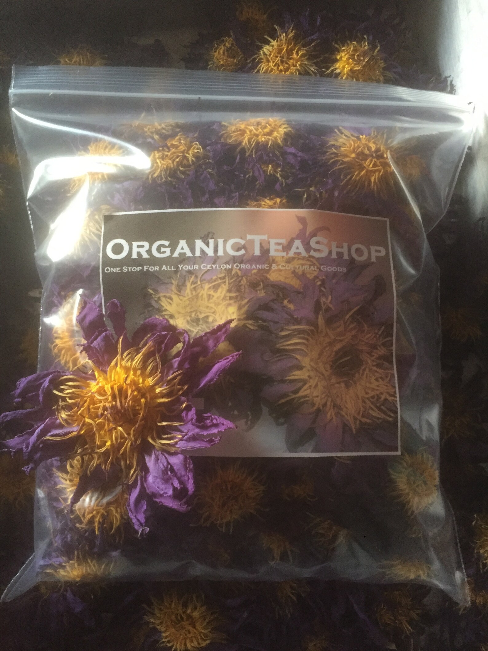 Lotus flower wikipedia picture