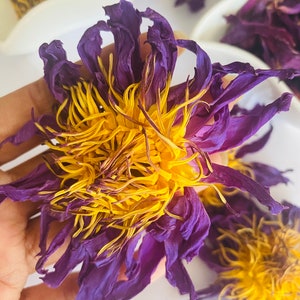 100% 純粋オーガニックエジプト産ブルー ロータス ~ ブルー ロータスの花全体 ~ 砕いたブルー ロータス ~ ブルー ロータス ハーブ ~ 神聖なスイレン ~ 世界中送料無料
