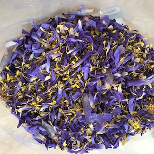 Dried Blue Lotus Pure Petals and Stamen Herbal Drink Ayurvedic Tea Natural Dried Nymphaea Caerulea
