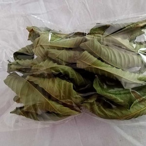 100% Organic Guava Leaves Fresh Green Dried Psidium Guajava Leaf Best Natural Herbal Guava Tea image 9