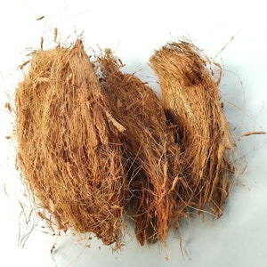 Natural Coconut Husk Coir Fiber For orchid Planting Home Gardening 100g