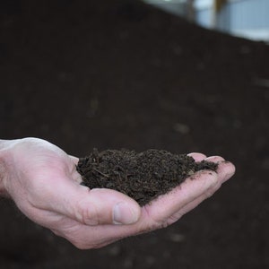Compost Manure FRESH Organic Worm Castings Soil Humus, Compost Soil Amendment