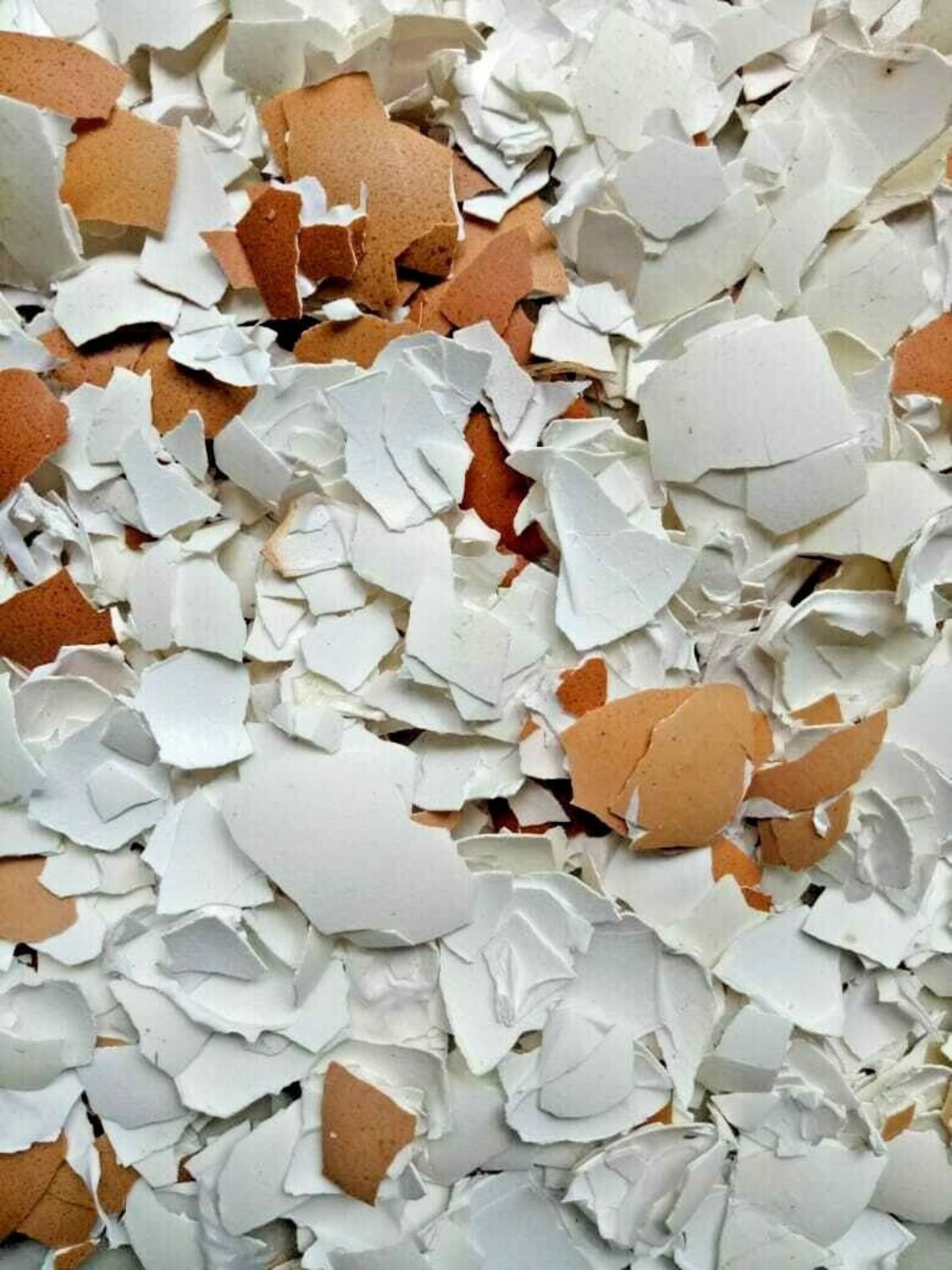 Organic Crushed Eggshells Calcium Fertilizer Egg Shells Garden Etsy