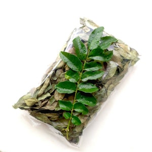 Verse gedroogde currybladeren 100% puur biologische, natuurlijke bladeren uit Ceylon