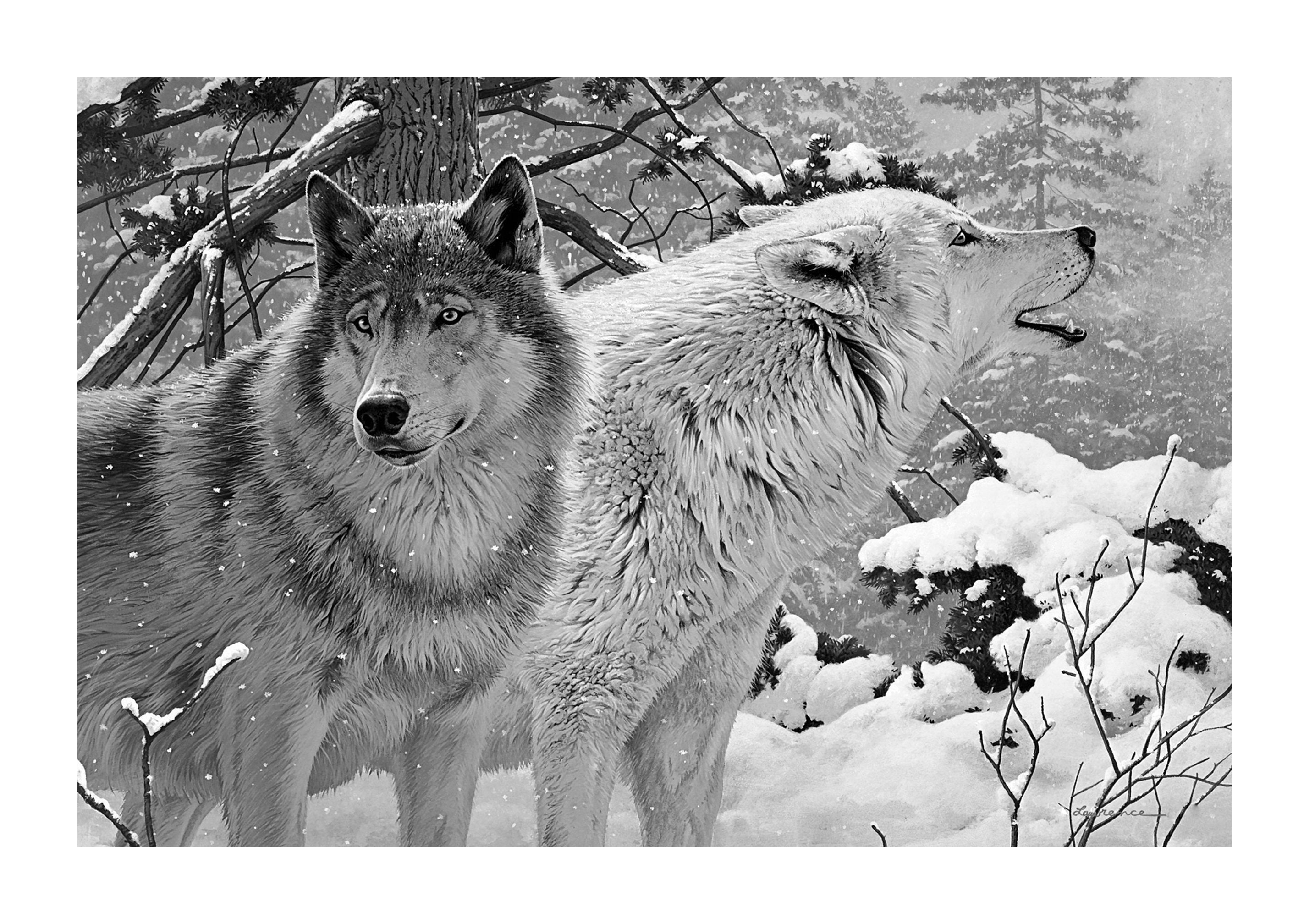 Lobos Blanco y Negro Animales Salvajes Nieve Invierno Pintura | Etsy