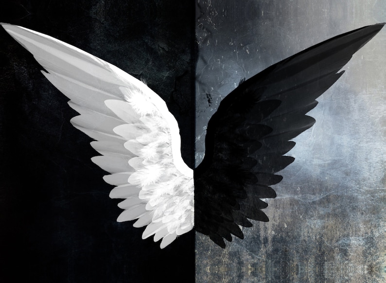 Abstract Fantasy Angel Wings Black And White Modern image 1