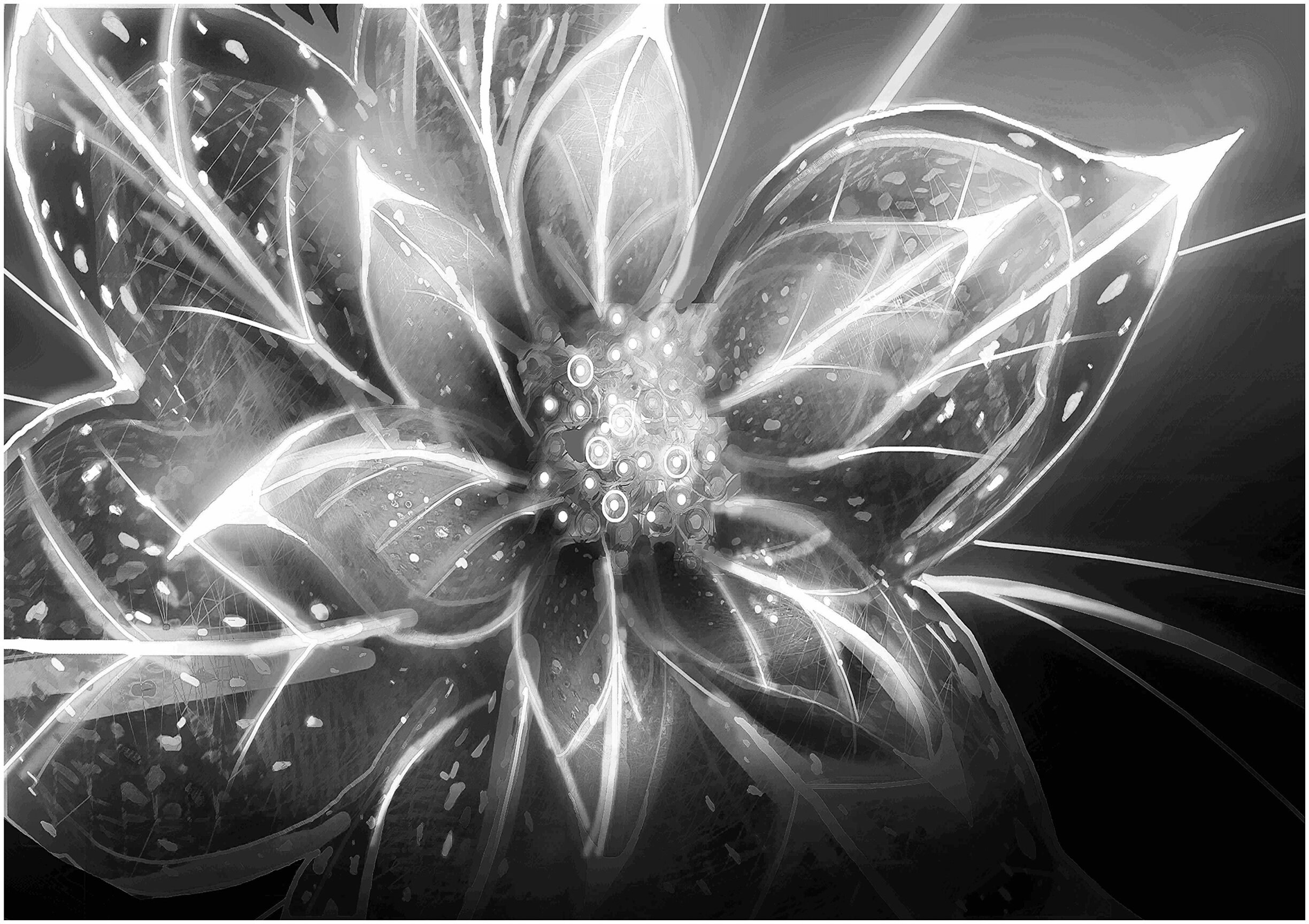 Abstract Flower Black And White Modern Floral Botanical Home Etsy