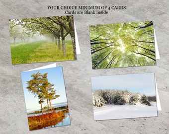 Tree Note Card Set, Spring, Summer, Fall and Winter
