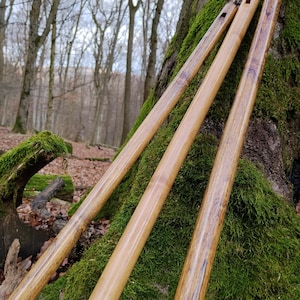Può includere: Tre flauti di legno appoggiati a un tronco d'albero coperto di muschio in un bosco. I flauti sono marrone chiaro con venature più scure. Lo sfondo mostra alberi spogli e luce naturale soffusa.