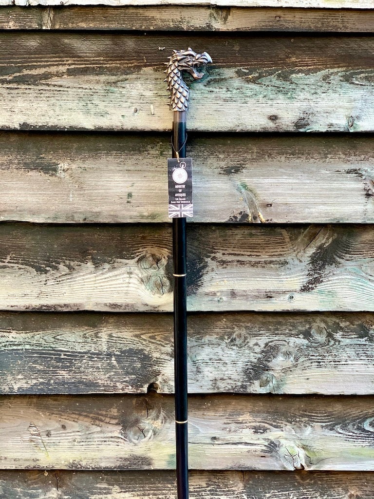 Bastone da passeggio con teschio di drago gotico: bastone in