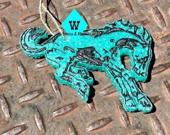 Bronc horse Freshie