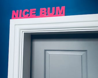 May include: A white door frame with a gray door. The door has a single raised panel. Above the door is a pink sign that reads "NICE BUM".
