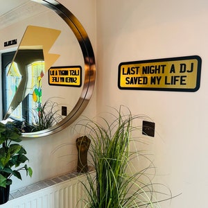 May include: A gold framed round mirror with a black and gold sign that reads "Last Night A DJ Saved My Life" hanging on a white wall. A potted green plant sits on a white radiator below the sign.