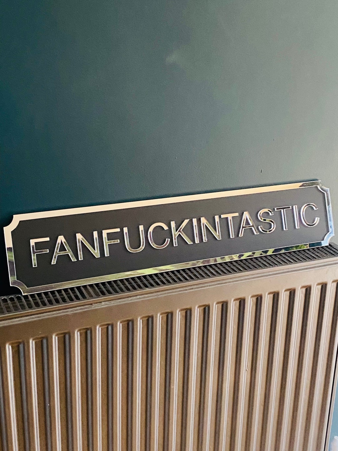 FANFUCKINTASTIC Street style sign, wall decor.