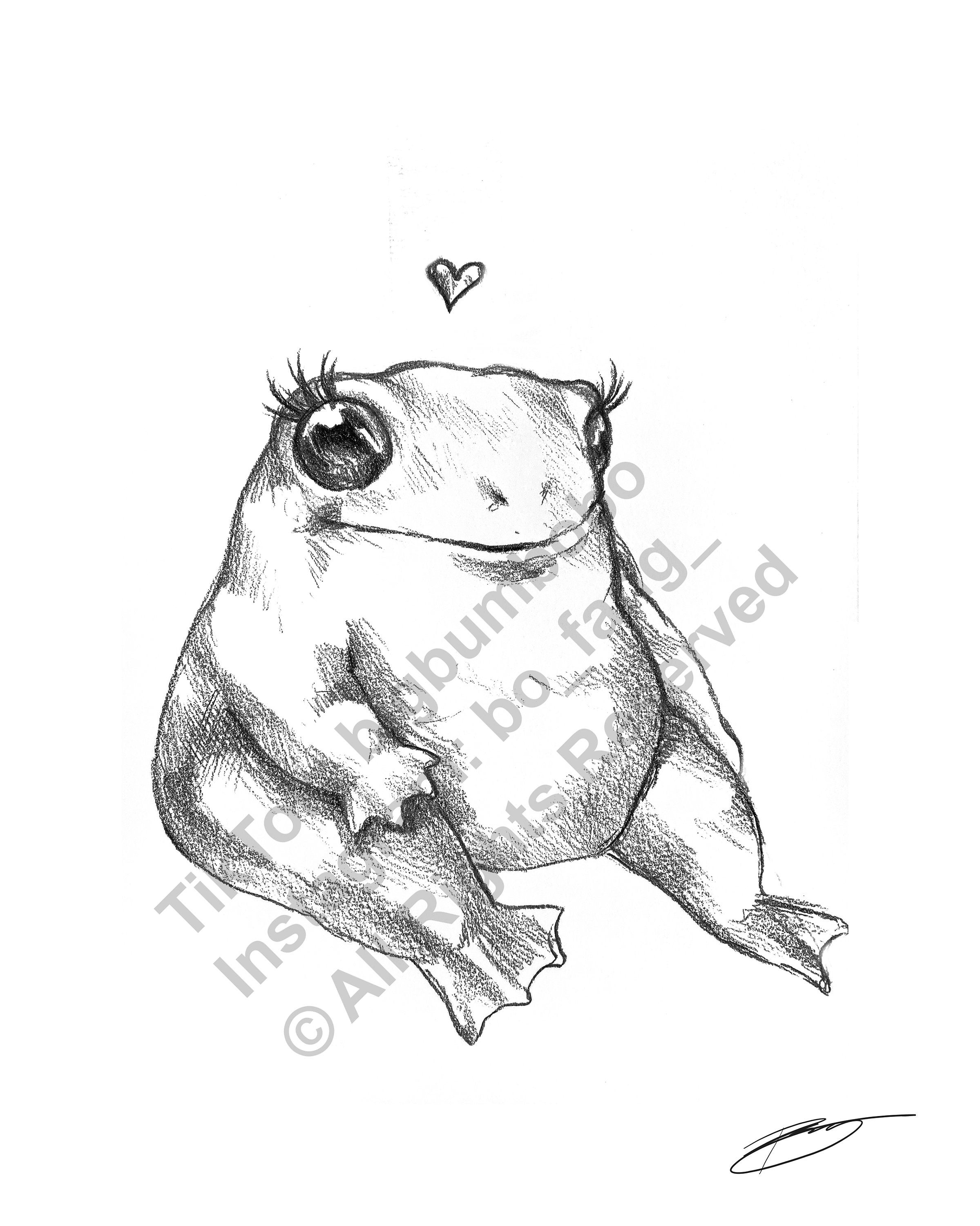 Fat Little Frog Sketch Drawing Illustration X 11 Black - Etsy Fat Little Frog Sketch Drawing Illustration X 11 Black - Etsy