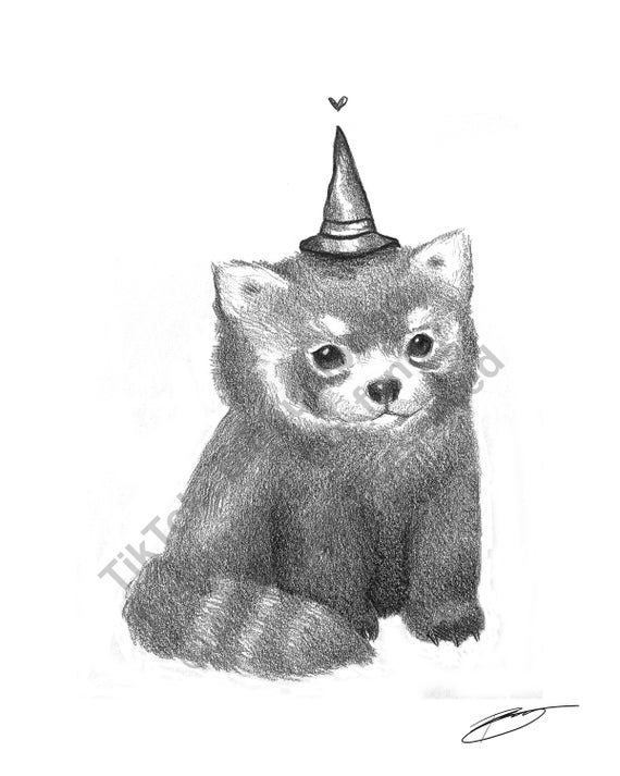 Fat Little Red Panda Sketch Illustration 8 5 X 11 Black Etsy