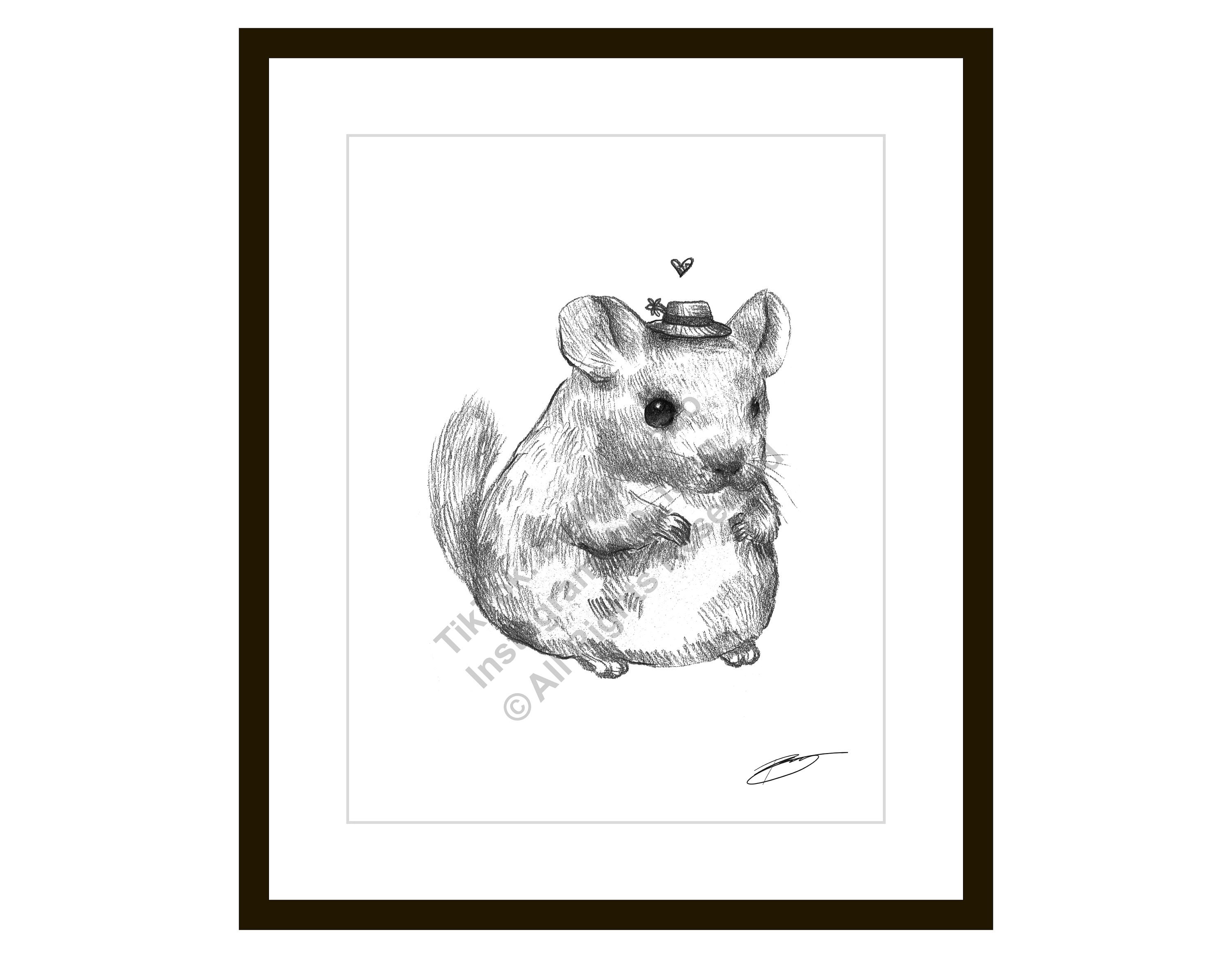 These Chinchillas Will Instantly Improve Your Day  Animal illustration  art Cute animal illustration Animal drawings