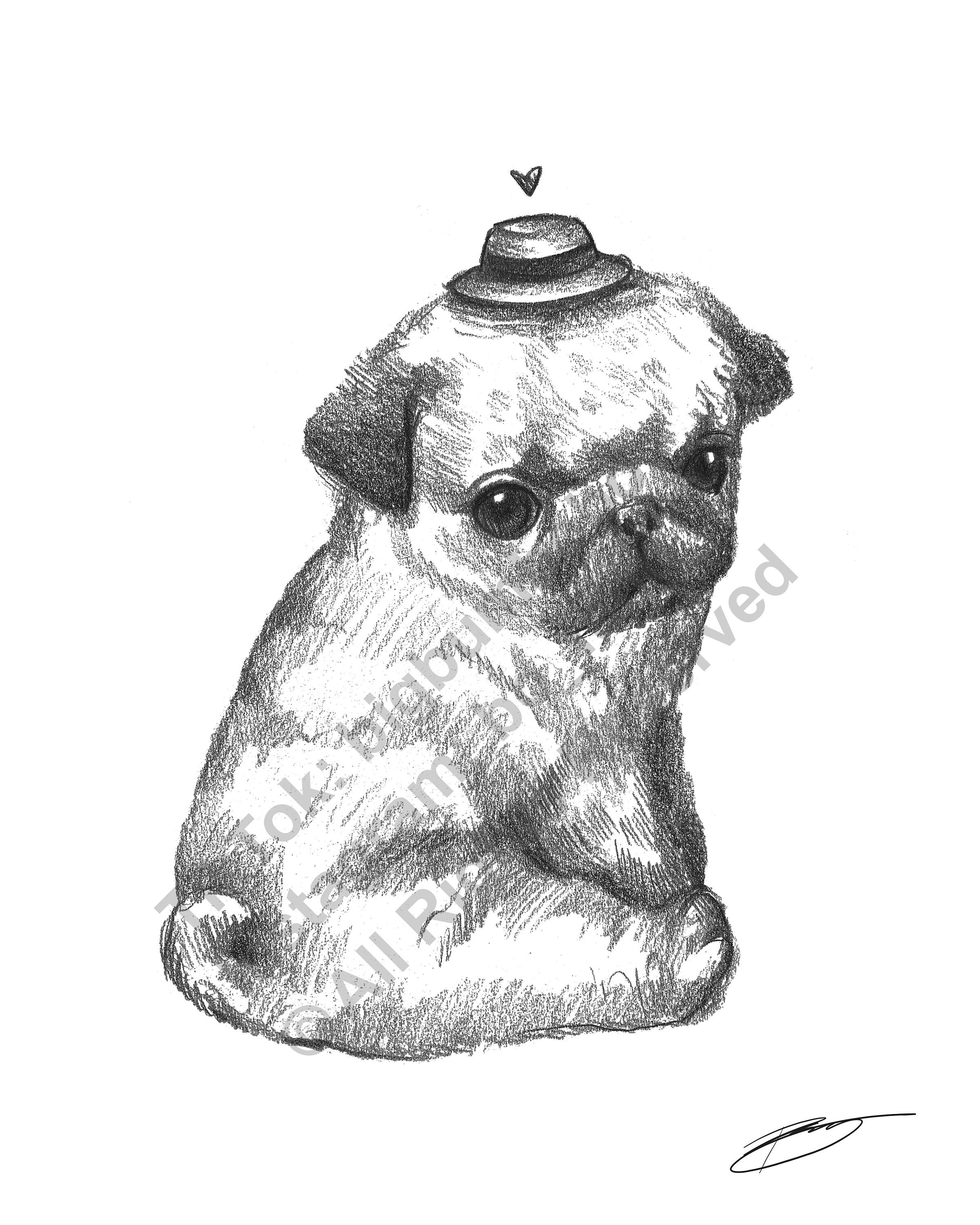 Fat Little Pug Sketch Illustration 8.5 X 11 Black