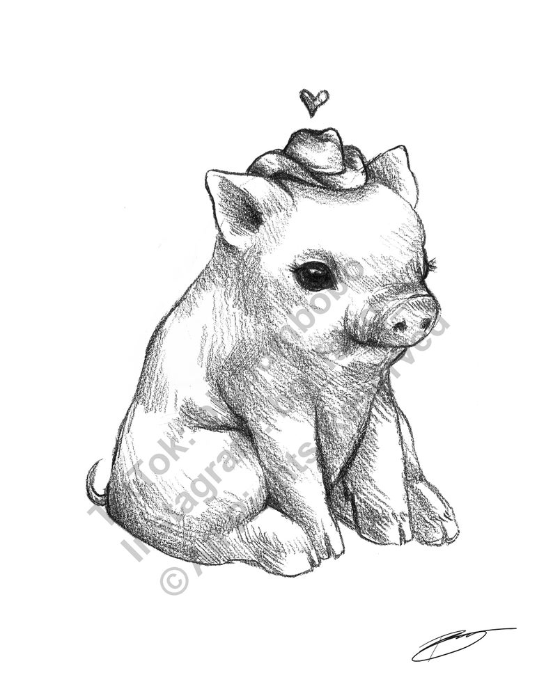 Fat Little Pig Sketch Drawing Illustration 8.5 X 11 Animal Etsy Denmark