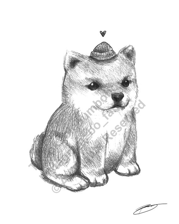 Fat Little Shiba Inu Dog Sketch Illustration X 11 Black