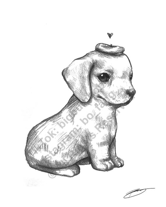 Fat Little Dachshund Dog Sketch Illustration 8.5 X 11 Black and White Animal  Art Print - Etsy