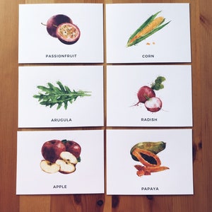 Veggie+Obst Flash Karten, 58 Karten Set//Montessori//Educational//Homeschool//Modern Art Prints