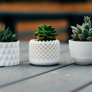 Geometric Planter Pots